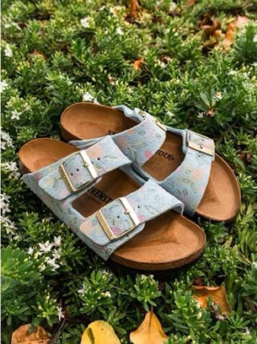 NIB Birkenstock Arizona Double-Strap Sandal in Baby Blue Flower